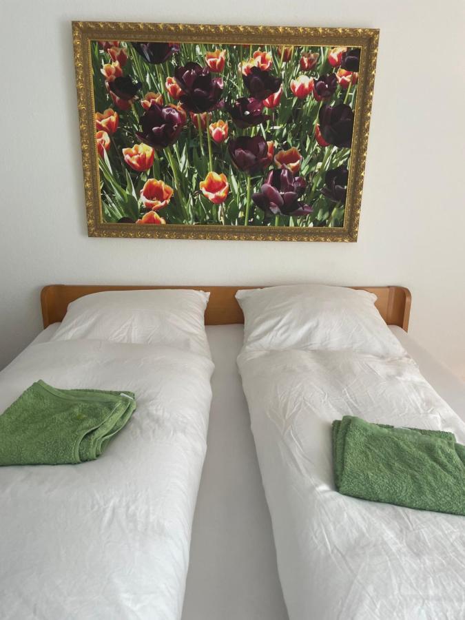 Appartement Mit Zwei Schlafzimmern Borgholzhausen Eksteriør billede